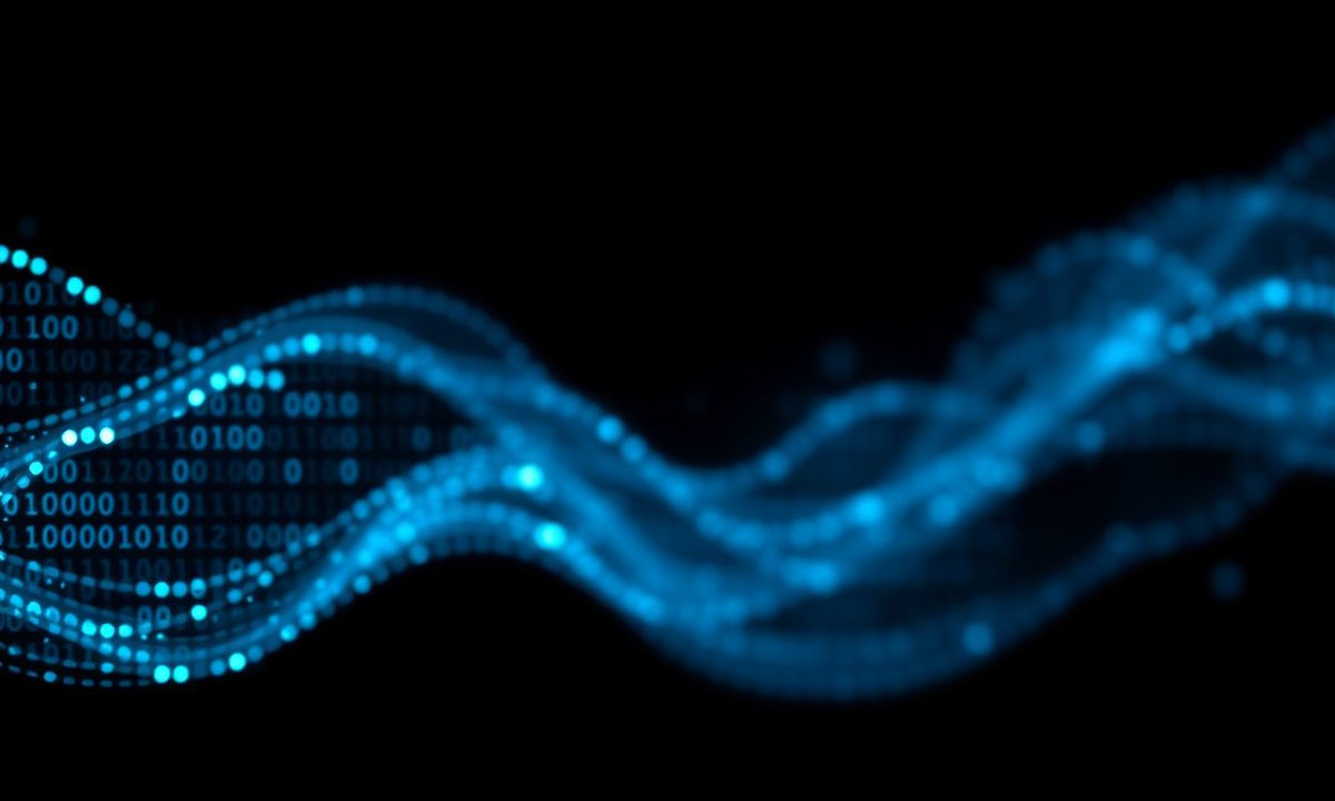 Hudu vs IT Glue: Which MSP Documentation Platform Works Best for Central Florida Businesses?